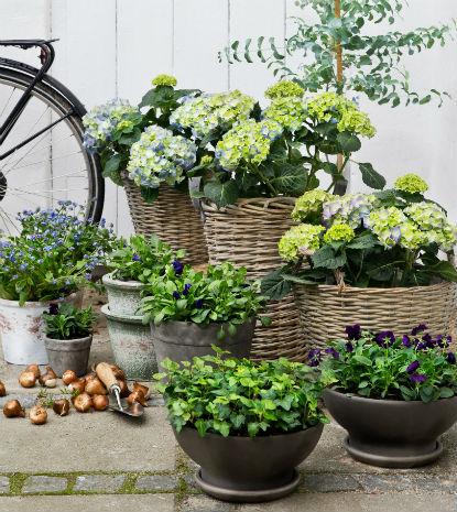  Få leveret blomster i dag – hurtigt og nemt